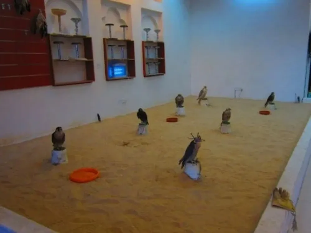 Una de las habitaciones para estas aves rapaces en el Hospital de Halcones de Souq Waqif, en Catar