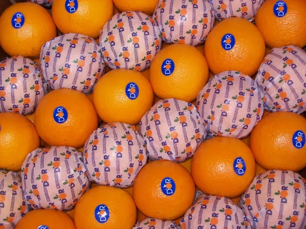 El ministro Aguerre destacó que hay cítricos en viaje hacia el mercado chino.