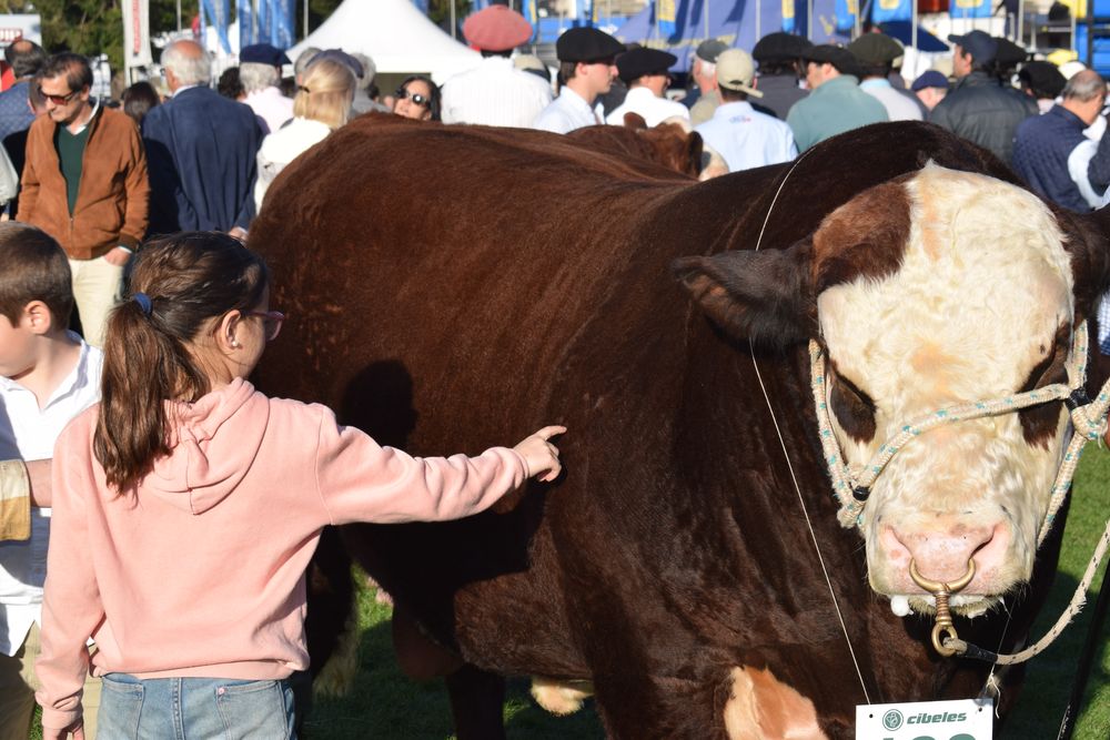 Expo Rural del Prado: se aproxima una nueva edición de la fiesta que junta al campo con la ciudad.