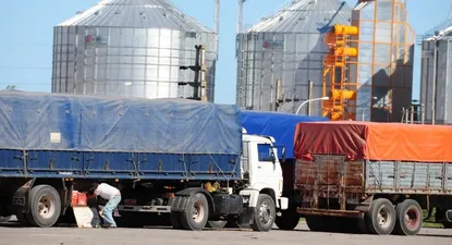 Terminal granelera ampliará instalación