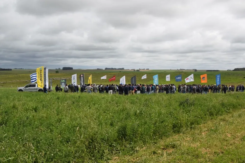 La primera parada, en la estancia San Alberto, un mar verde en medio de la seca.