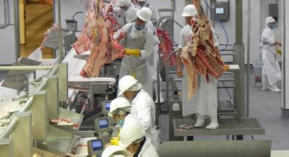 Exportaciones de carne