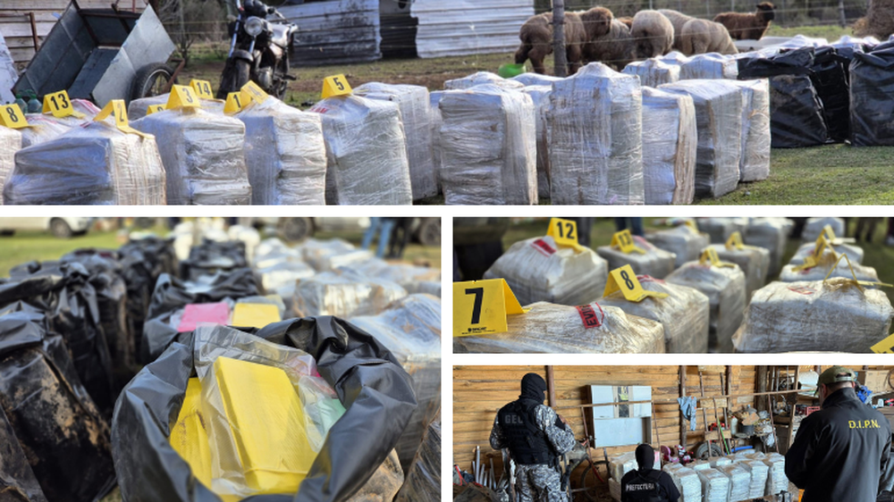 Chacra droga Punta Espinillo