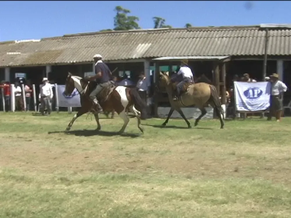 Una cabaña prestigiosa próxima a cumplir 50 años