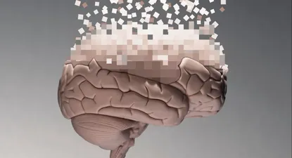 El cerebro humano sufre una radical configuración a partir de los 40 años.