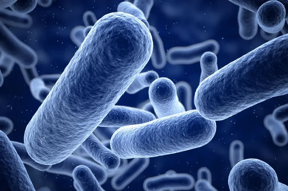 Doudner y su equipo investigaban las bacterias cuando dieron con el hito que revolucionaría la biología genética.