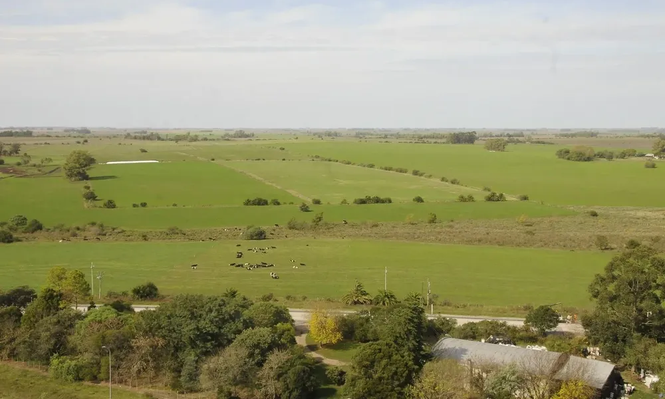 El encalado de suelos agrícolas como motor económico: 0,5% del PIB y mil empleos en juego