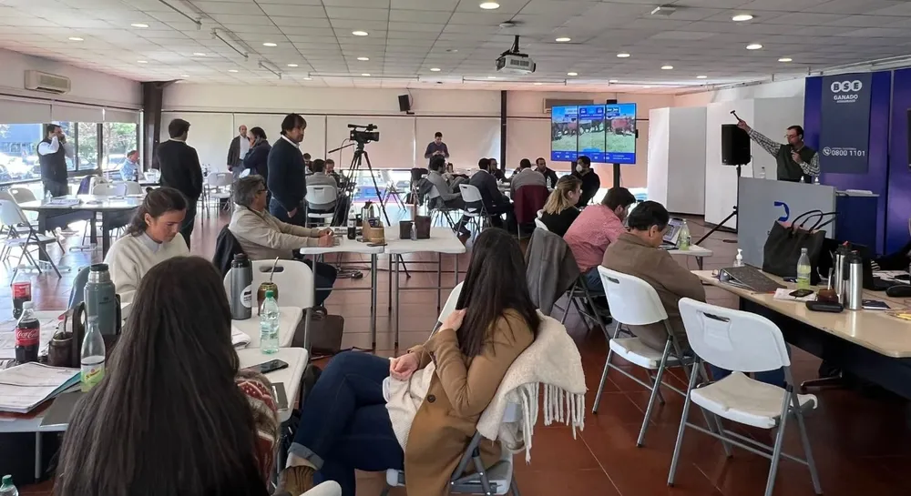 Tres días de intensa actividad.