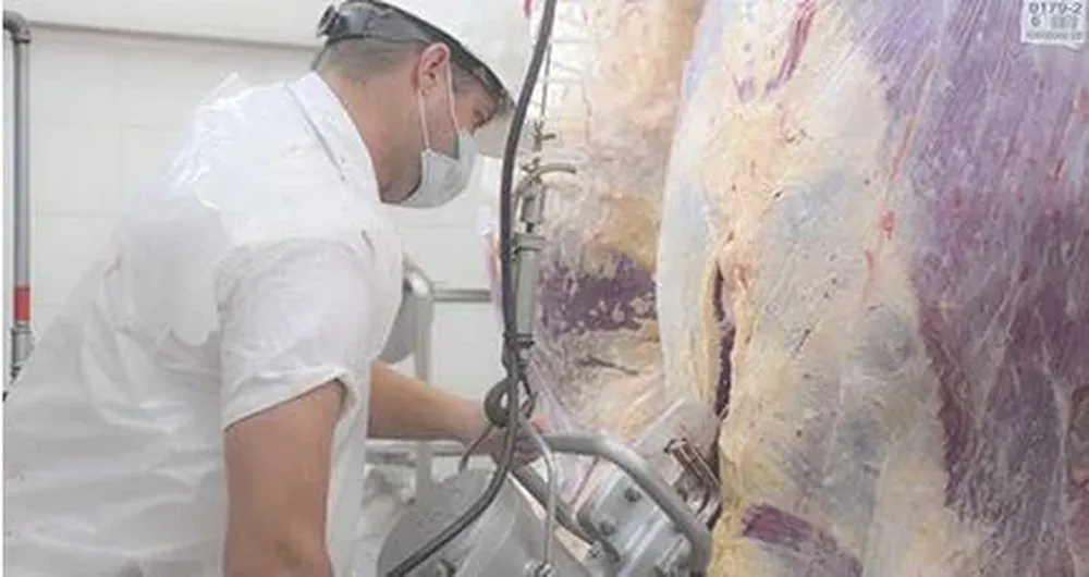 Frigorífico Rosario.