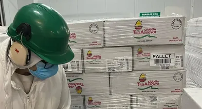 El Observador | 1709846535632.webp