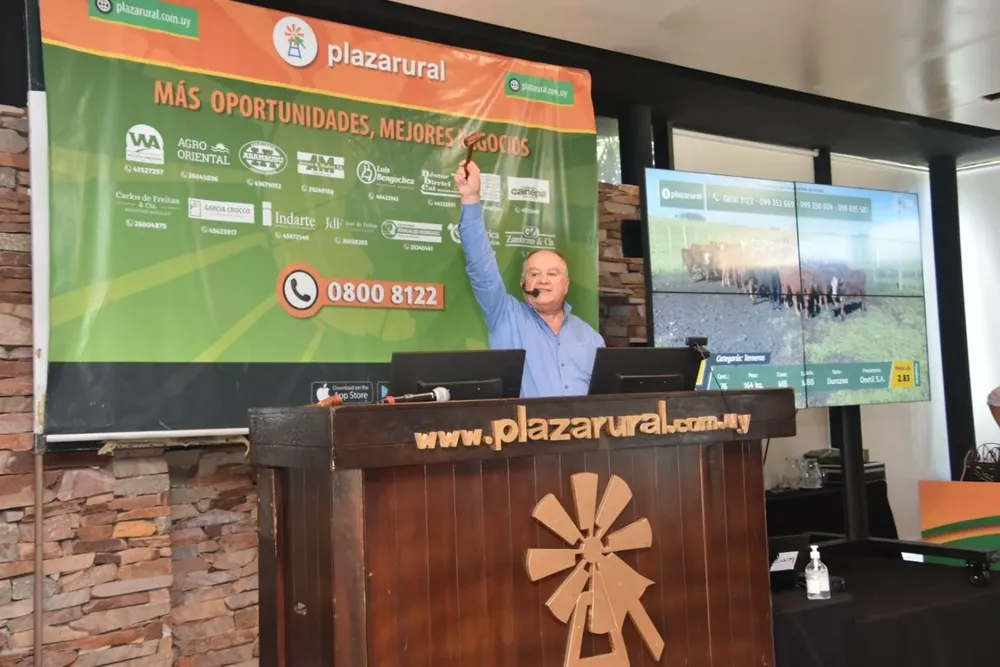 El remate de Plaza Rural se realizó en cuatro jornadas.