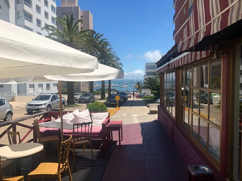 Punta del Este, Maldonado