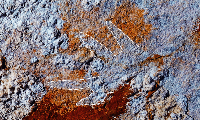 La pintura rupestre más antigua de una mano con garras rojas podría reescribir la cronología de la creatividad humana