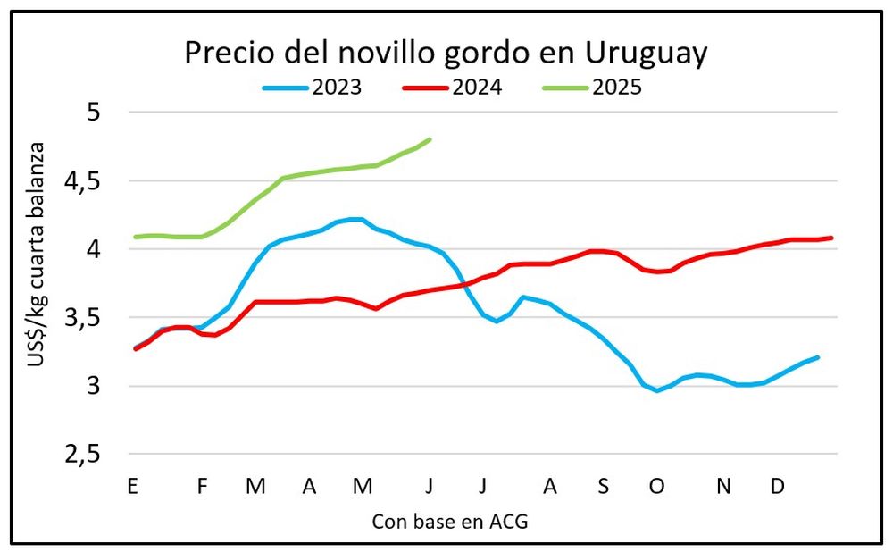 precio del novillo.jpg