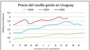 Ganado gordo: nuevas referencias de valores en el mercado.