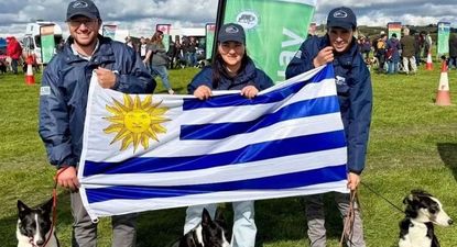 Perros de Pastoreo: los uruguayos y sus compañeros de trabajo en el Mundial de Escocia.