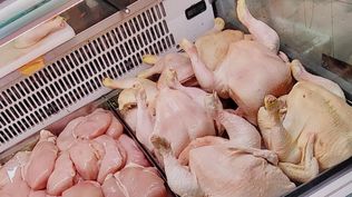 Pollo entero, muslo y suprema: precios a la baja.