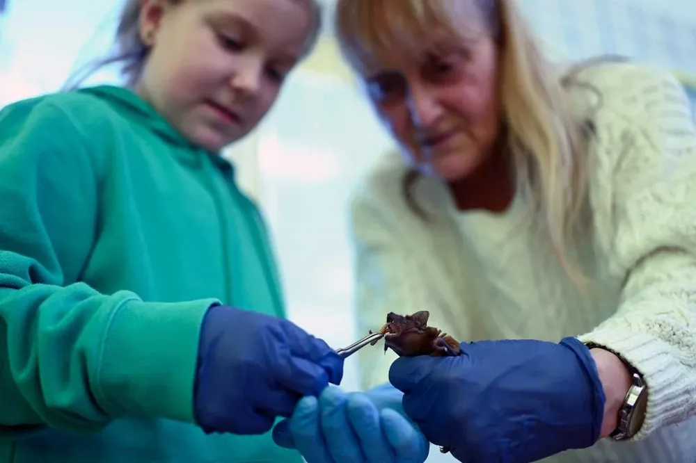 Debo admitir que simplemente los amo (...) Puedo levantarme a mitad de la noche para darles un antibiótico, es como querer a un niño, dice Gorecka.