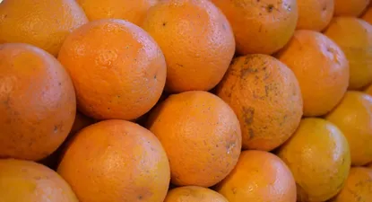 mgap prohibio el uso de agroquimicos que contengan fention