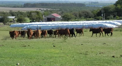 Ganaderos iniciaron la gestiónd de un momento siempre complicado, el cierre del otoño y el invierno.