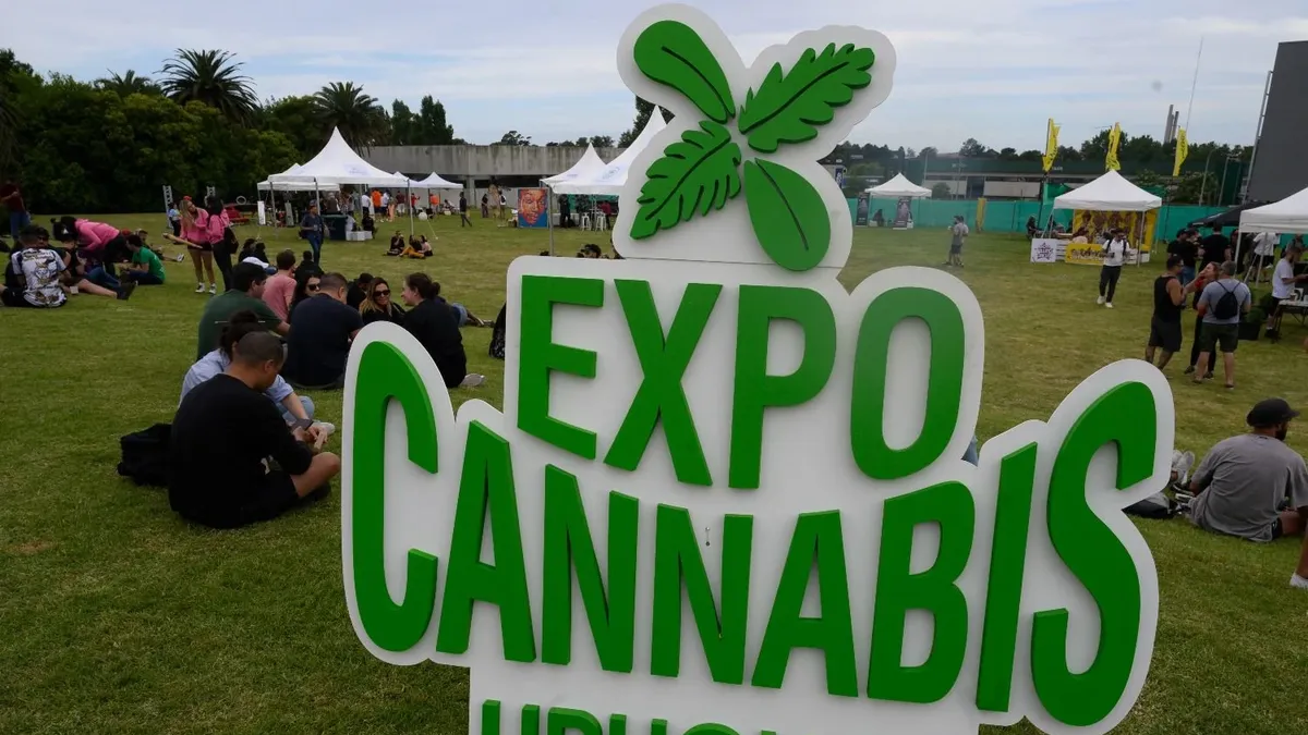 Una Nueva Edición De La Expocannabis Uruguay Se Desarrollará En Canelones 