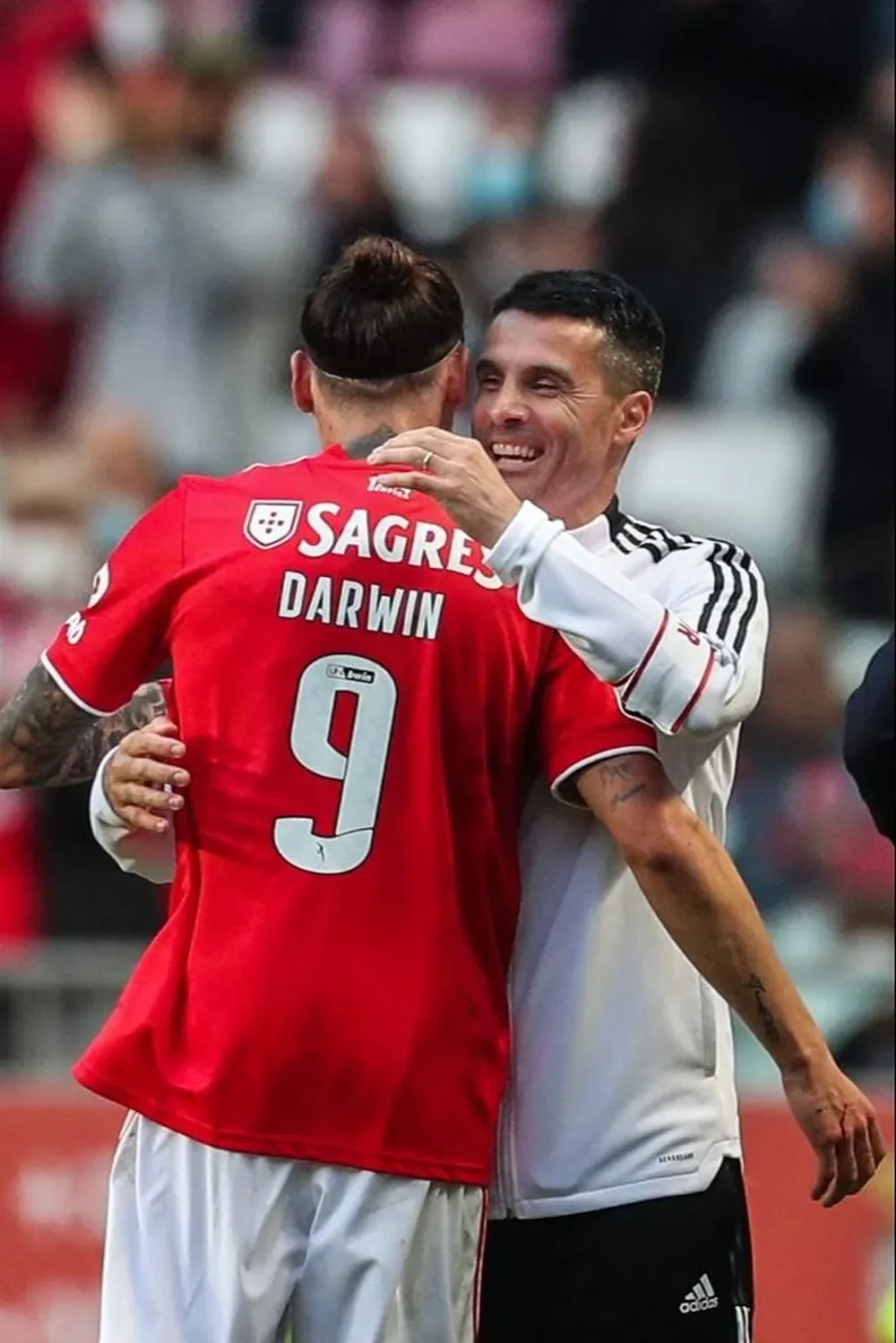 Darwin y Nelson Verissimo