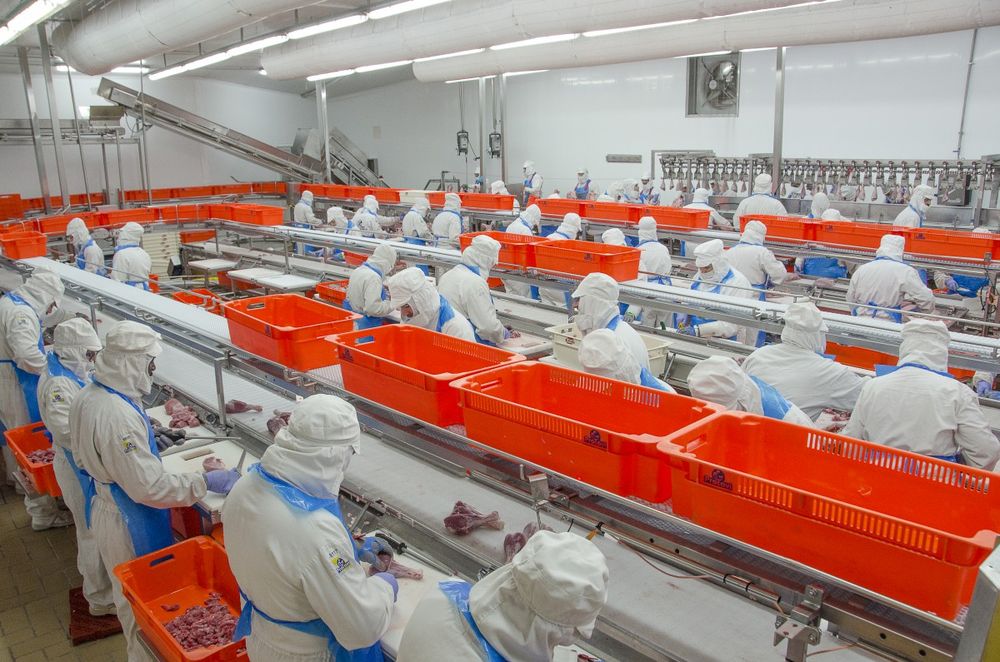 Empresa española &nbsp;busca trabajadores con opción a contrato indefinido.