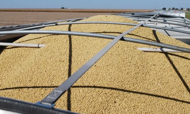 Argentina invierte este año US$ 1.700 millones en materias primas e infraestructura en sector agrícola