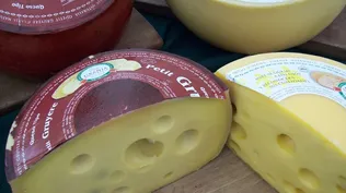 Quesos en la muestra de la Expoláctea