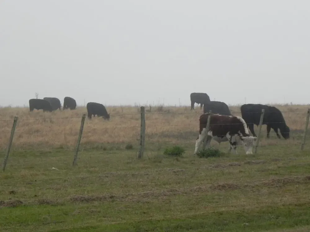 Los cambios en el estado del tiempo, un factor clave en la agropecuaria.
