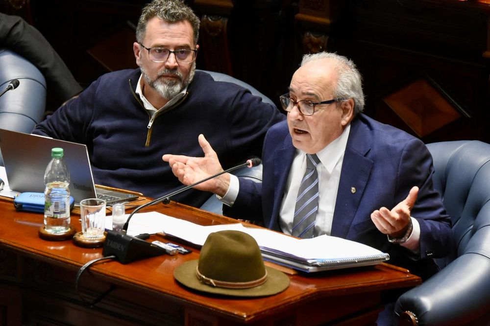 Cámara de Senadores interpela a Fratti