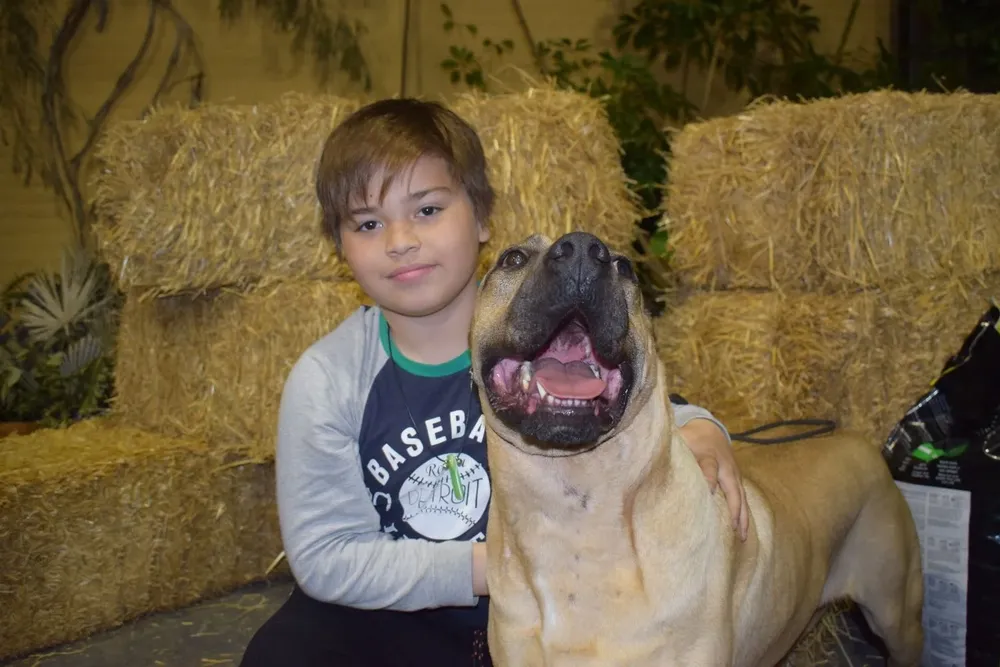 Joaquín con Patrón, en el Galpón de Ventas de la Rural del Prado.