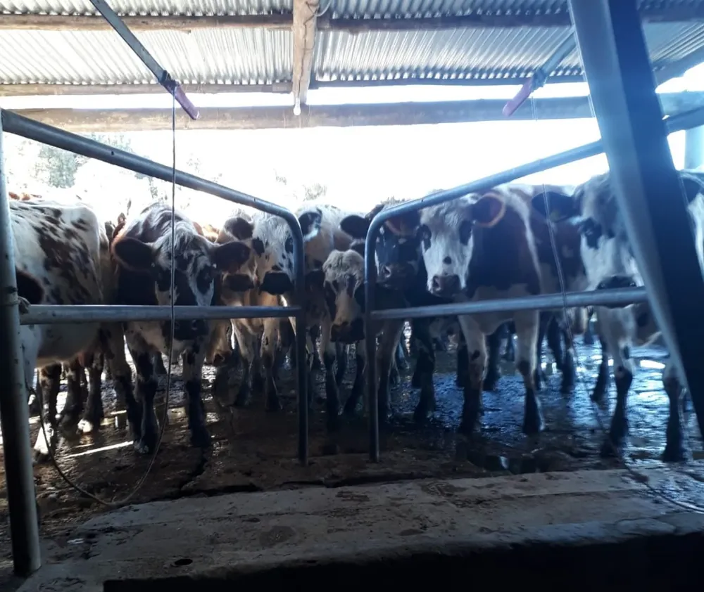 Después de 25 años trabajando, cerró otro tambo de pequeña escala.