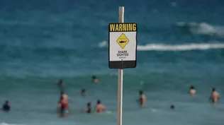 Playa Tuncurry, Australia