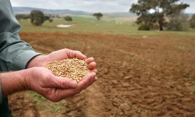 Los productores muestran problemas de liquidez