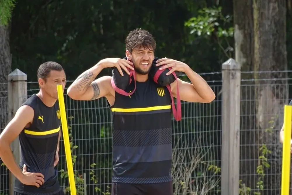 Leyes en plena tarea