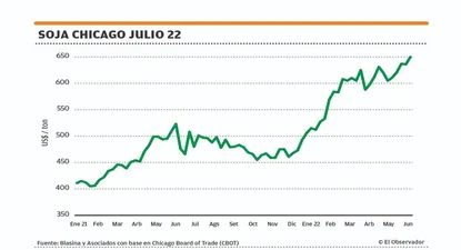 El Observador | 1654861921494.webp