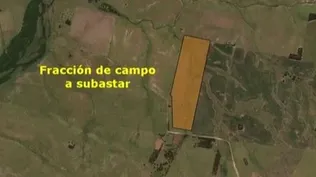 Fracción de campo en Lavalleja va a subasta sin base