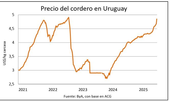 Carne ovina y la materia prima con valores tonificados.