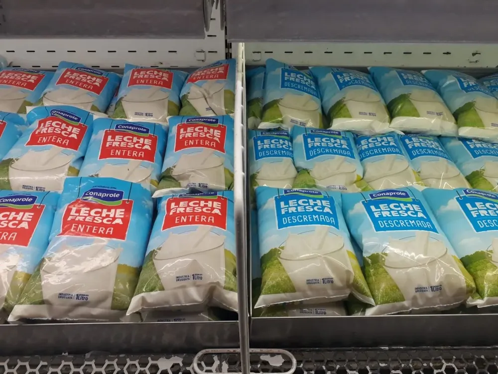 Este jueves se realiza un paro de 24 horas en la industria láctea