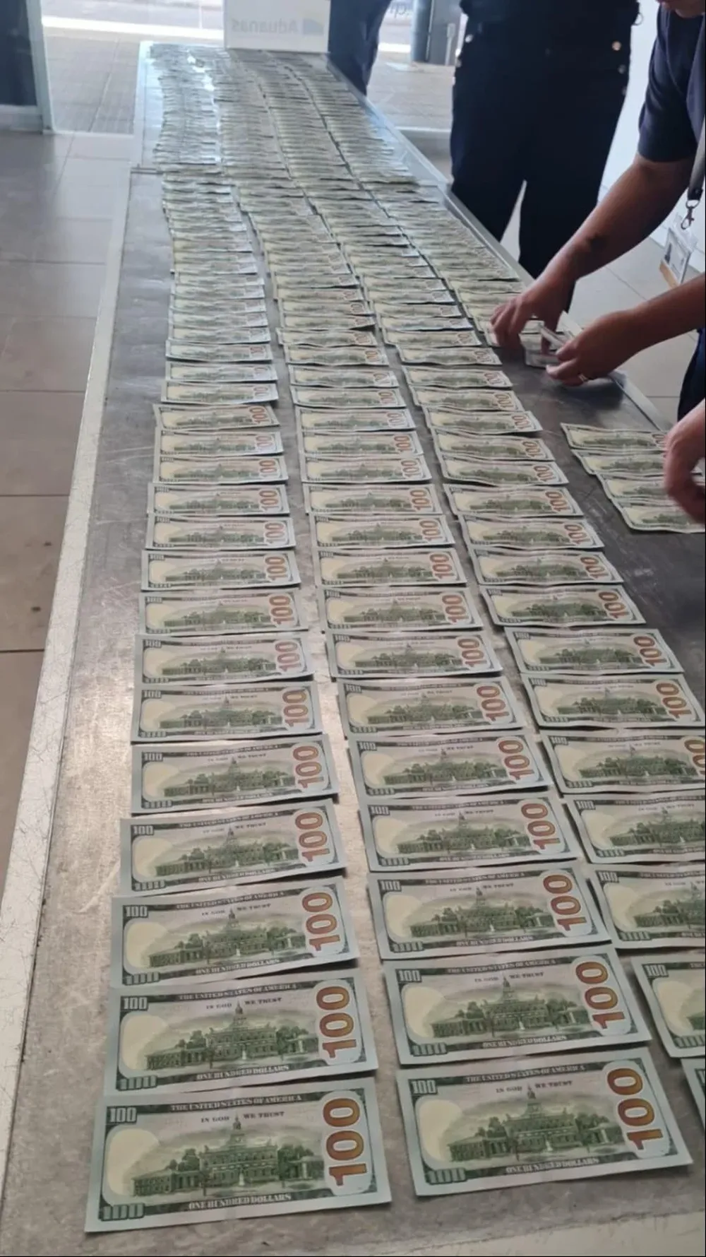 El dinero incautado.