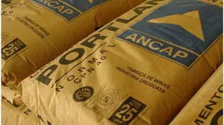 Ancap ofrecerá incentivos de hasta 30 sueldos a funcionarios del pórtland