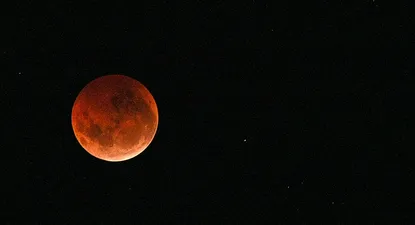 El Observador | 0000315892.webp