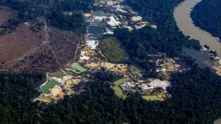 La Amazonia perdió medio millón de kilómetros cuadrados en 18 años