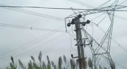 Histórica exportación de energía superará los US$ 100 millones