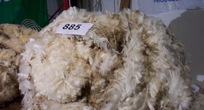 Lana: mejora el panorama y lo celebra la ovinocultura uruguaya.