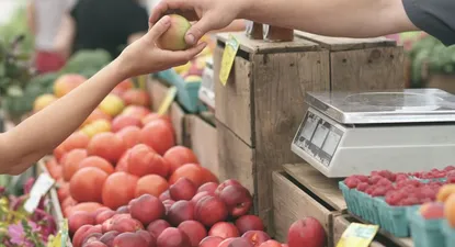 encuesta revelo datos de impactos del covid-19 en la agricultura familiar