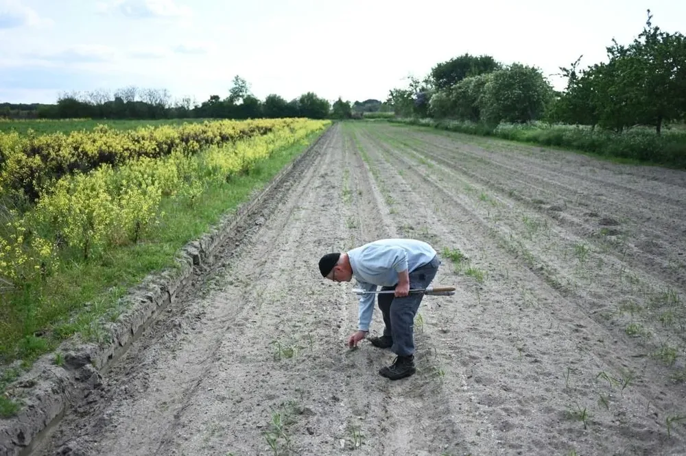 La sequía, un azote para para la zona norte de Europa.