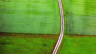 Nuevos derechos para Colonización en la enajenación de campos