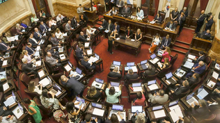 El Senado tratará Ficha Limpia este miércoles.&nbsp;